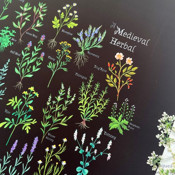 A Medieval Herbal - Digital Print - Botanical Print - Magical Herbs - Herb Garden - Historic - Physic - Medicinal Plants