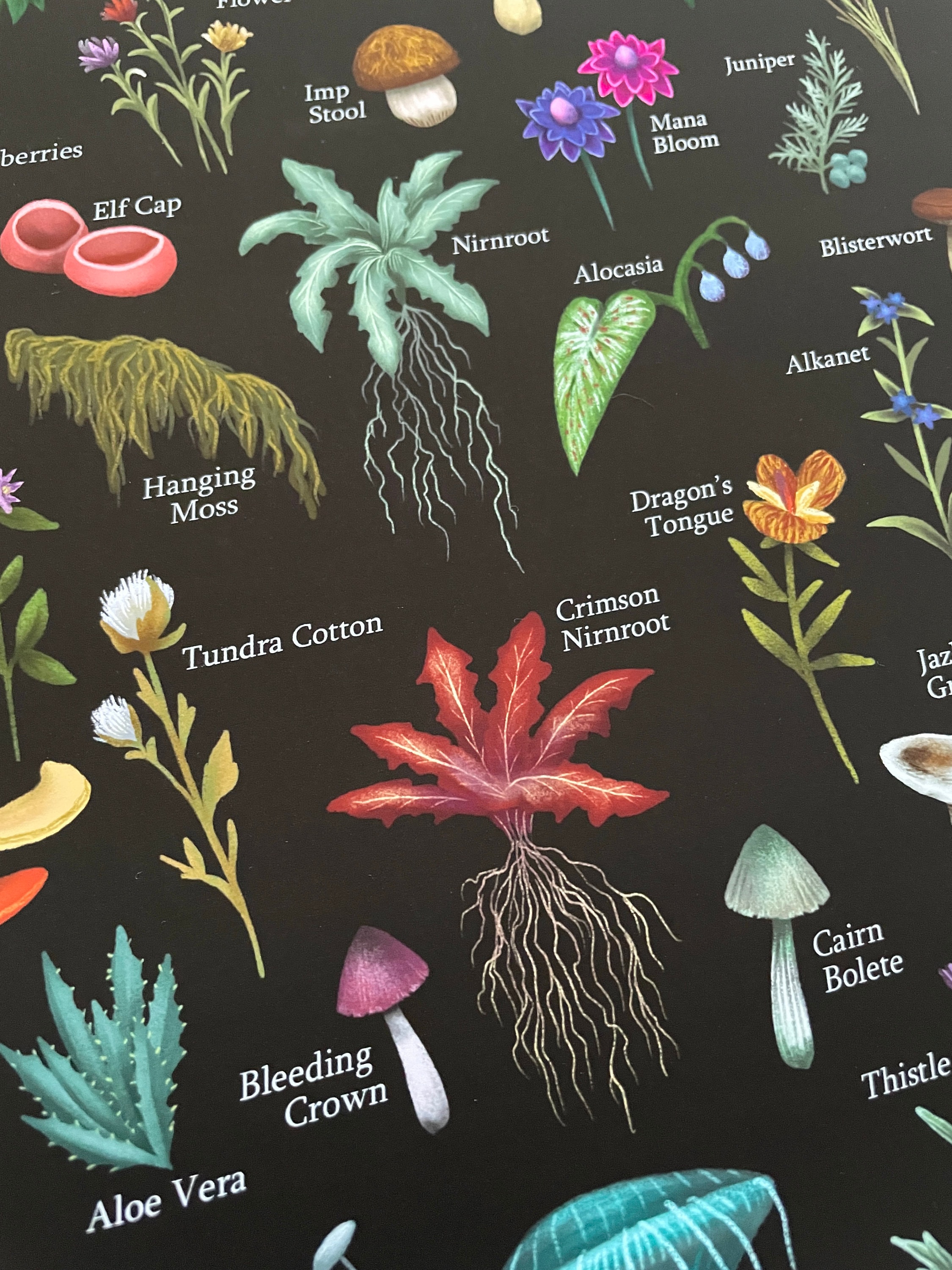 Buy Crimson Nirnroot Pendant With Labradorite, Skyrim Jewelry, Skyrim  Landscape Necklace, Gift for Gamer Online in India - Etsy, image size:2250x3000