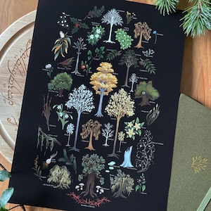 Puede incluir: Un póster ilustrado en blanco y negro con una variedad de árboles y plantas del universo de El Señor de los Anillos. El póster incluye los nombres de cada árbol y planta, como "The White Tree", "Mallorn" y "Old Man's Beard".