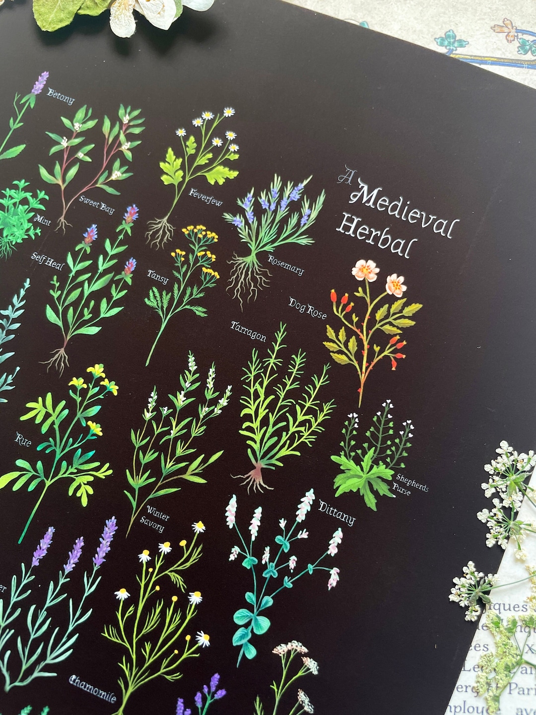 A Medieval Herbal - Digital Print - Botanical Print - Magical