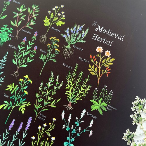 A Medieval Herbal - Digital Print - Botanical Print - Magical
