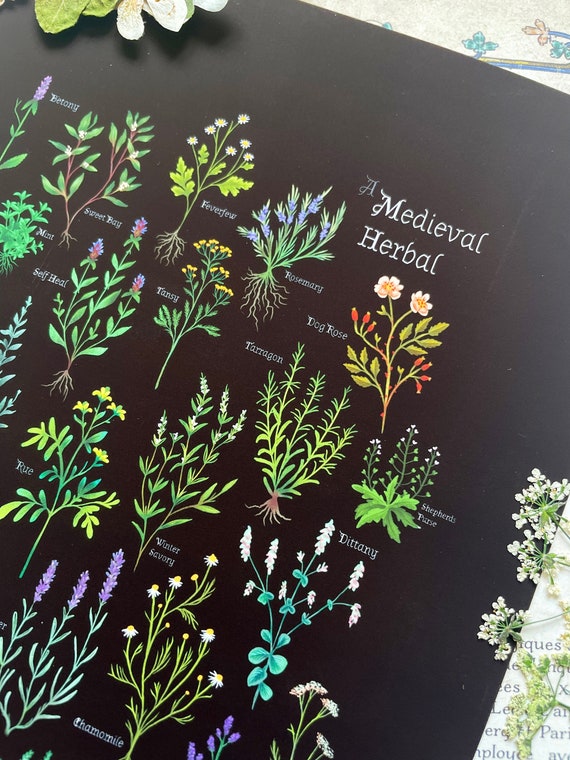 A Medieval Herbal - Digital Print - Botanical Print - Magical