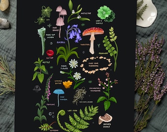 Plants for a Fantasy Forest - Art Print - Fairy - Fae - Magical Plants - Fairy Ring - Enchanted Forest - Nature - Cottagecore - Whimsigoth