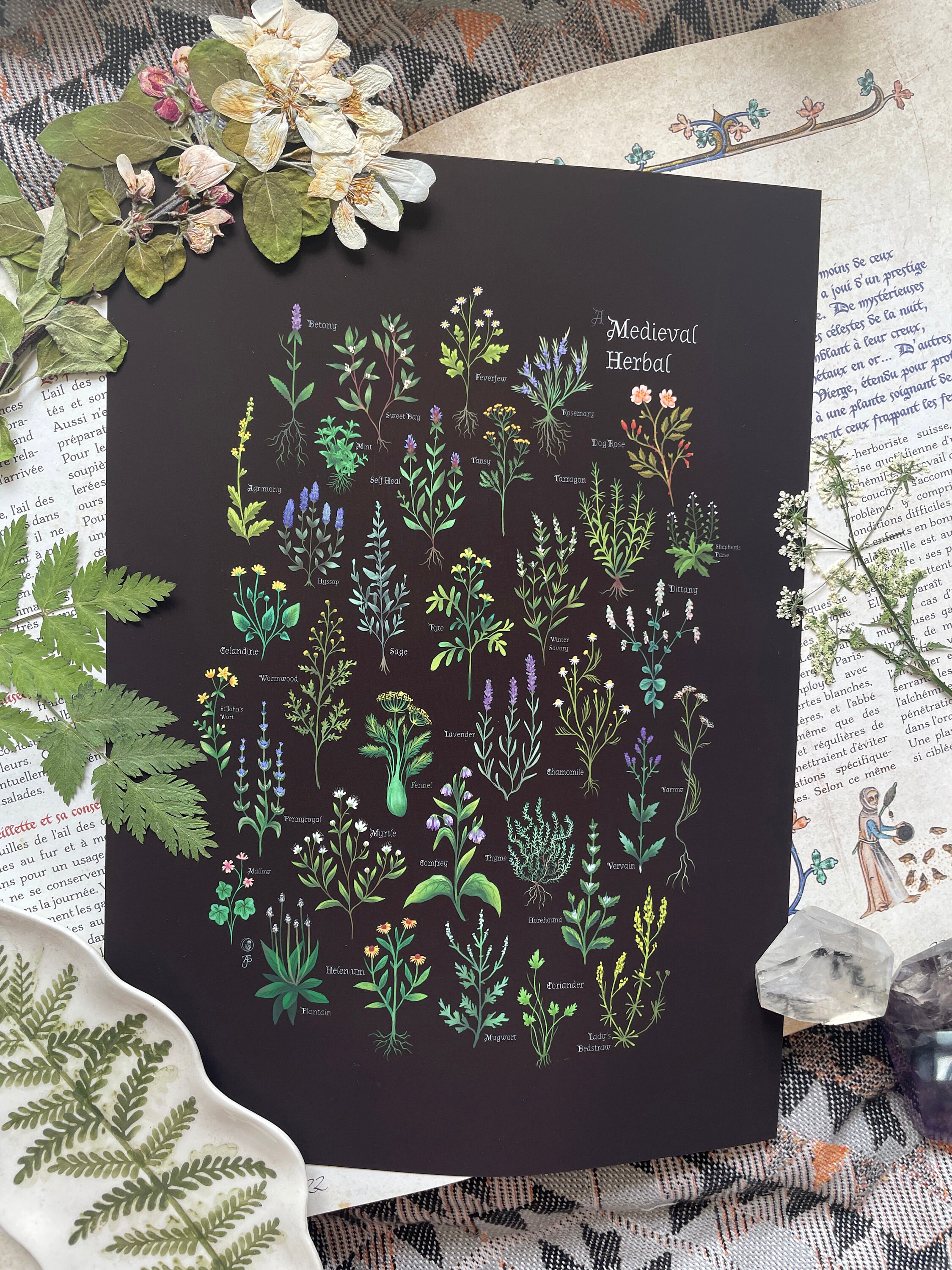 A Medieval Herbal - Digital Print - Botanical Print - Magical
