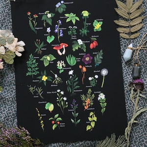 A Witcher Herbal - Art Print - Selected Plants inspired by The Witcher Series - Geralt of Rivia - Fantasy Books - Video Game - Gaming