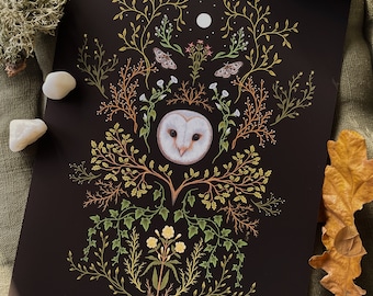 Dusk Dweller - Art Print - Barn Owl - Owl and Botanical Print - Noctural - Nature - Wildlife - Witchy - Mystic - Moth