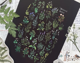 アート・デザイン・音楽 Medieval Herbal A Medieval Herbal - Digital