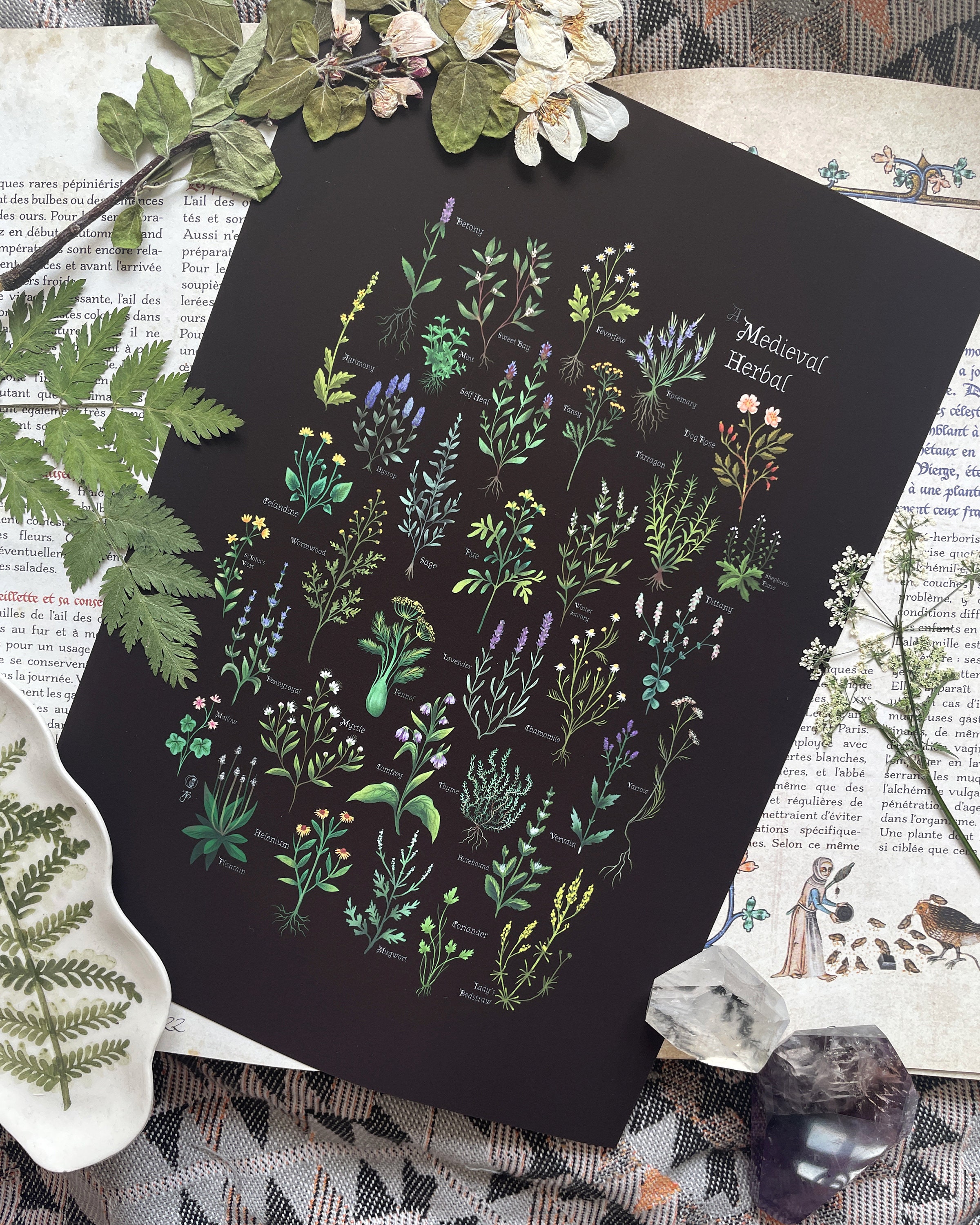 A Medieval Herbal - Digital Print - Botanical Print - Magical