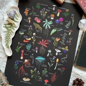 A Tamriel Herbal - Art Print - Selected Plants inspired by The Elder Scrolls - Skyrim - Morrowind - ESO - Nirnroot - Video Game - Gaming