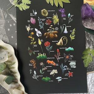 An Elden Ring Herbal - Kunstdruck - Ausgewählte Pflanzen inspiriert von The Lands Among - Souls - Bloodgeboren - Videospiel - Gaming - Fantasy - Rollenspiel