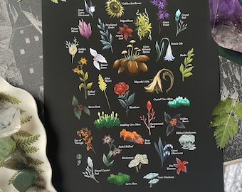 An Elden Ring Herbal - Art Print - Selected Plants inspired by The Lands Between - Souls - Bloodborne - Video Game - Gaming - Fantasy - RPG