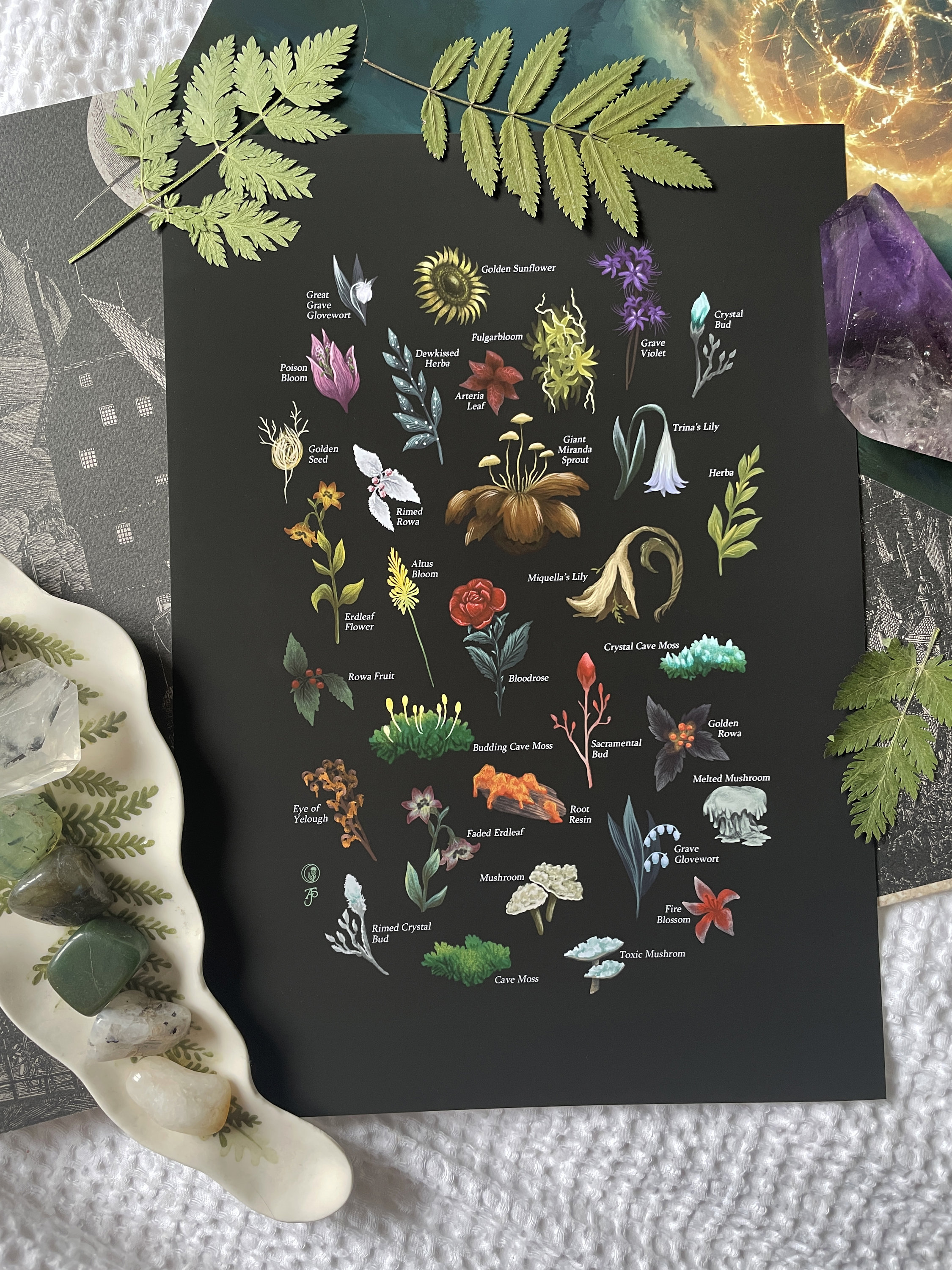 An Elden Ring Herbal - Art Print - Selected Plants Inspired by the Lands  Between - Souls - Bloodborne - Video Game - Gaming - Fantasy - RPG - Etsy  Canada