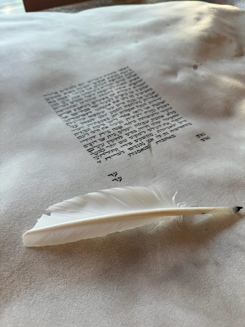 Hand scribed calligraphy ketubah by Bluth's Ritual Studio