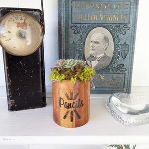 May include: A wooden pencil holder with the word "Pencils" and a drawing of pencils on the front. The holder is filled with green moss and a small succulent plant. A vintage book titled "Memorial Life of William McKinley" is in the background.