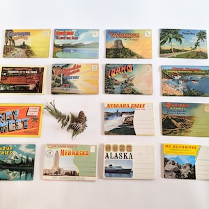 Vintage viaje souvenir postal imagen scenic packs aventura viaja Yosemite Nebraska Alaska Niagara Beartooth HWY Oregon muchos estados!