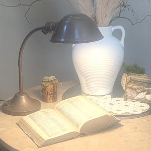 Puede incluir: Una lámpara de escritorio antigua de latón con una pantalla negra ilumina un libro abierto sobre una mesa redonda. Un jarrón blanco con hierba de la pampa y una pequeña maceta de suculentas también están sobre la mesa, creando un rincón de lectura.