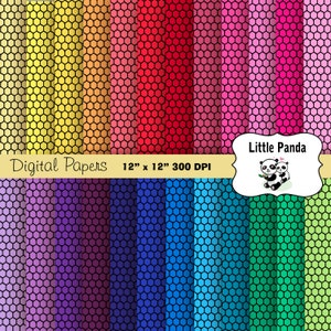 Rainbow Hexagon Honeycomb Digital Scrapbooking Papers 24 jpg files 12 x 12 - Instant Download - D254
