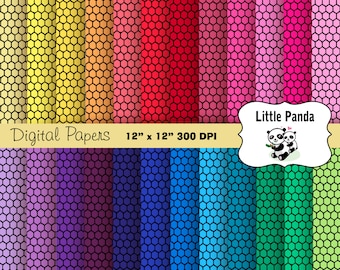 Rainbow Hexagon Honeycomb Digital Scrapbooking Papers 24 jpg files 12 x 12 - Instant Download - D254