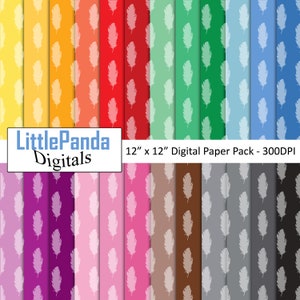 De digitale document van de veer, boho scrapbookdocument, stammenpatroon, de achtergrond van het veersilhouet, regenboogkleuren commercieel gebruik D734