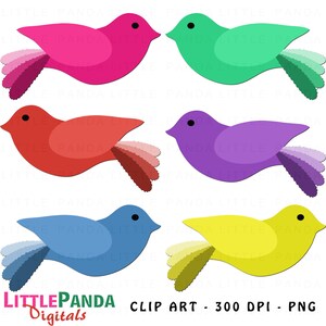 Cute Birds Clipart Digital Clip Art - Uso pessoal e comercial - Download instantâneo - D395