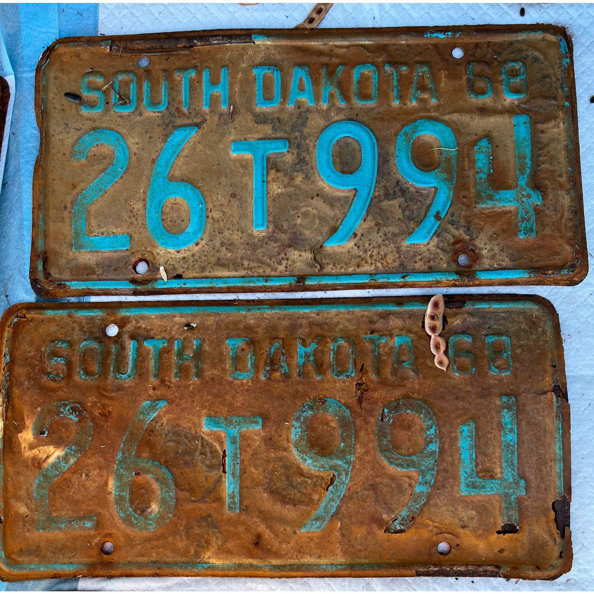 Rusty License Plates 
