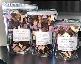 freeze dried ice cream sandwich