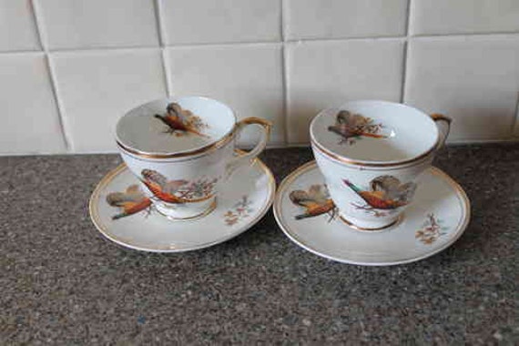 Kitsch pair of cup and saucers - Game birds