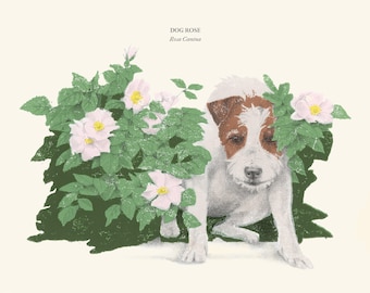 Dog Rose Woodcut Print, Botanical Art, 8x10, Animal Garden
