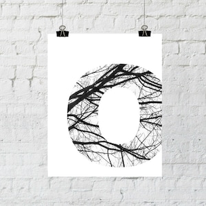 May include: A black and white image of the letter O formed by the silhouette of bare tree branches.