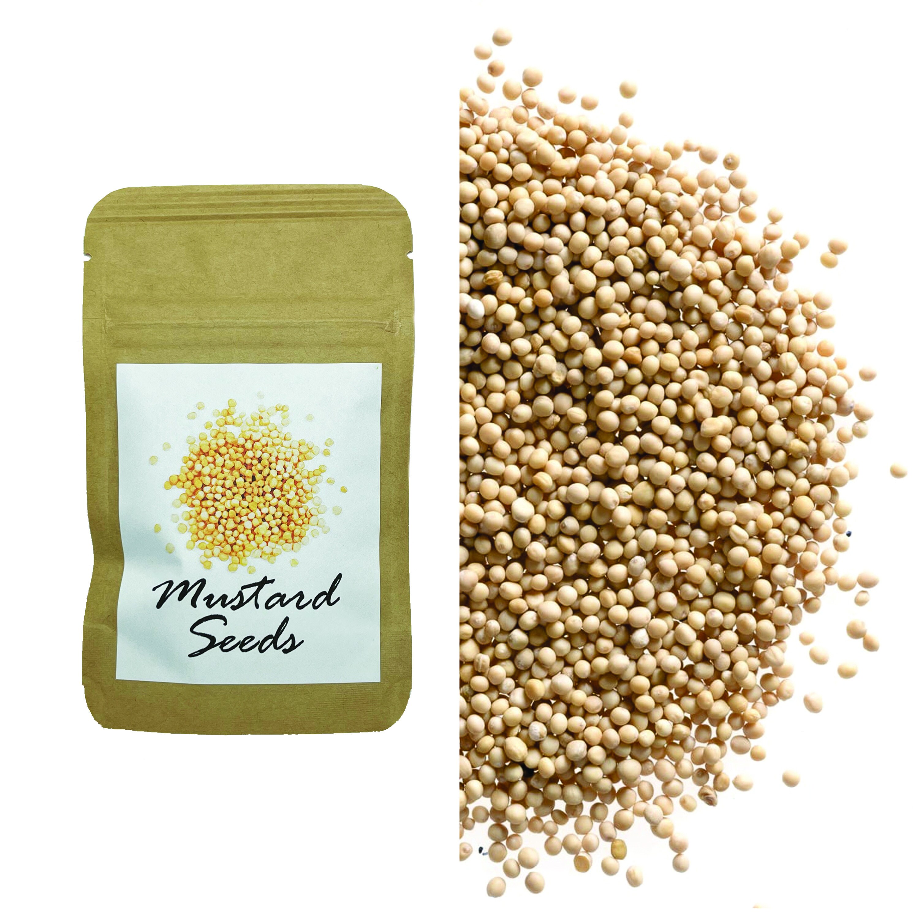 Mustard Seeds In Hindi