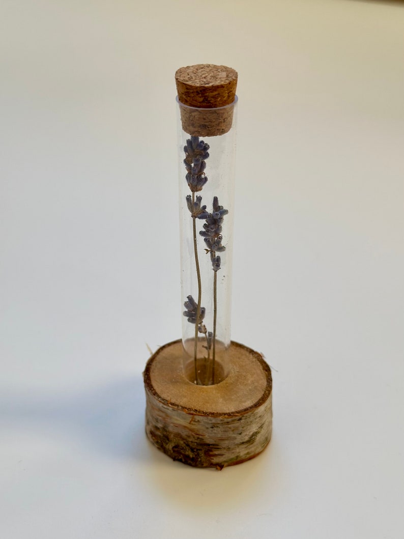 Test Tube Flower Vase with Stand and Dried Lavender Flowers Inside the Tube Test Tube Vase Rack Test Tube Flower Stand image 5