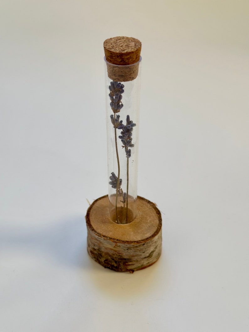 Test Tube Flower Vase with Stand and Dried Lavender Flowers Inside the Tube Test Tube Vase Rack Test Tube Flower Stand image 6