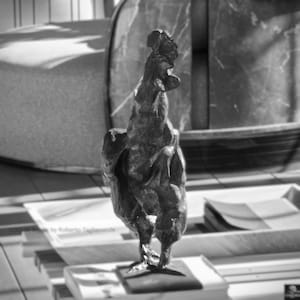 Beppe&#39;s Rooster  by Roberto Tagliazucchi