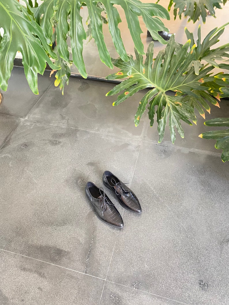 May include: A pair of black leather lace-up shoes with a pointed toe.