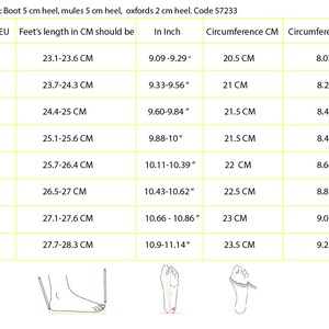 May include: A size chart for shoes with measurements in inches and centimeters. The chart shows the shoe size in European sizes (EU), the corresponding foot length in centimeters, the foot length in inches, the circumference of the foot in centimeters, and the circumference of the foot in inches.