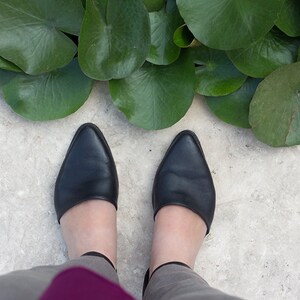 May include: A pair of black leather pointed-toe flats with ankle straps.