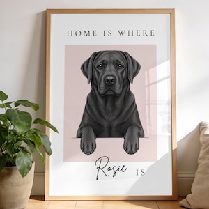 May include: A framed wall art print featuring a black Labrador retriever illustration centered on a light pink square background. The text reads HOME IS WHERE and below the dog, the name Rosie is written in script followed by the word IS.