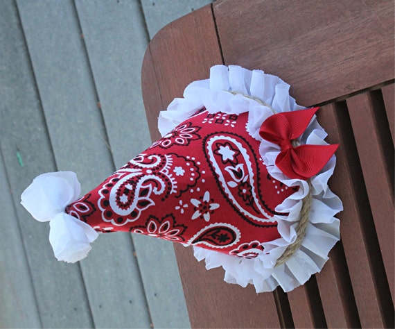 Bandanna print party hat - Farm party hat - First Birthday Hat - Cake Smash Hat - Cake Smash outfit - Girls First Birthday - photo prop Il_570xn