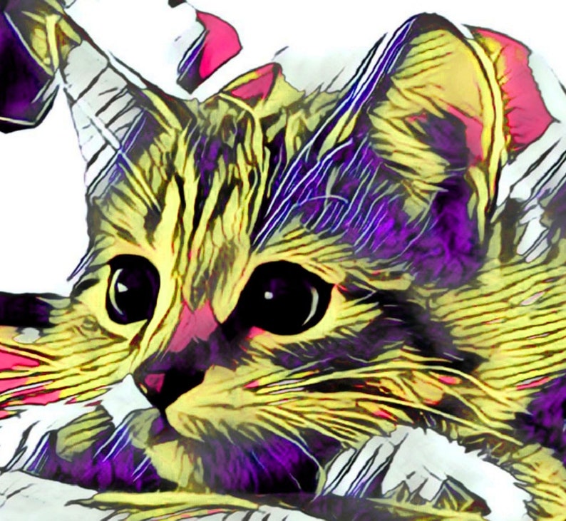 Pet Portrait Art Portrait Photo Art