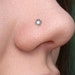 see more listings in the NOSE PIERCING section