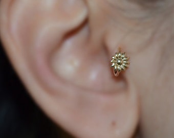 Tragus Earring - Gold Nose Hoop - Helix Earring - Rook Earring - 6mm Flower Tragus Jewelry 16g - Cartilage Piercing - Nose Ring