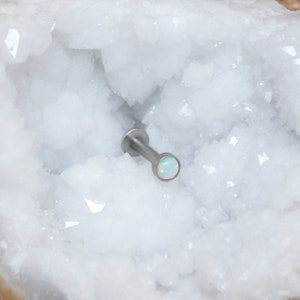 16G Surgical Steel Cartilage Earring – Labret Lip Medusa Monroe Piercing Stud, Universal