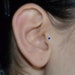 see more listings in the EAR CLICKERS / TRAGUS section