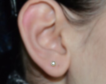 3mm Fresh Water Pearl Tragus Stud Gold Nose Stud Cartilage Hoop Helix Earring Stud Nose Ring Tragus Jewelry Nose Piercing 20g Etsy