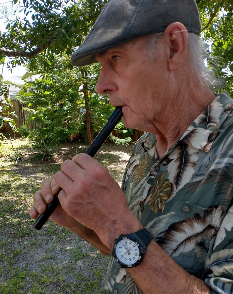 Irish Whistle Key of High D Etsy