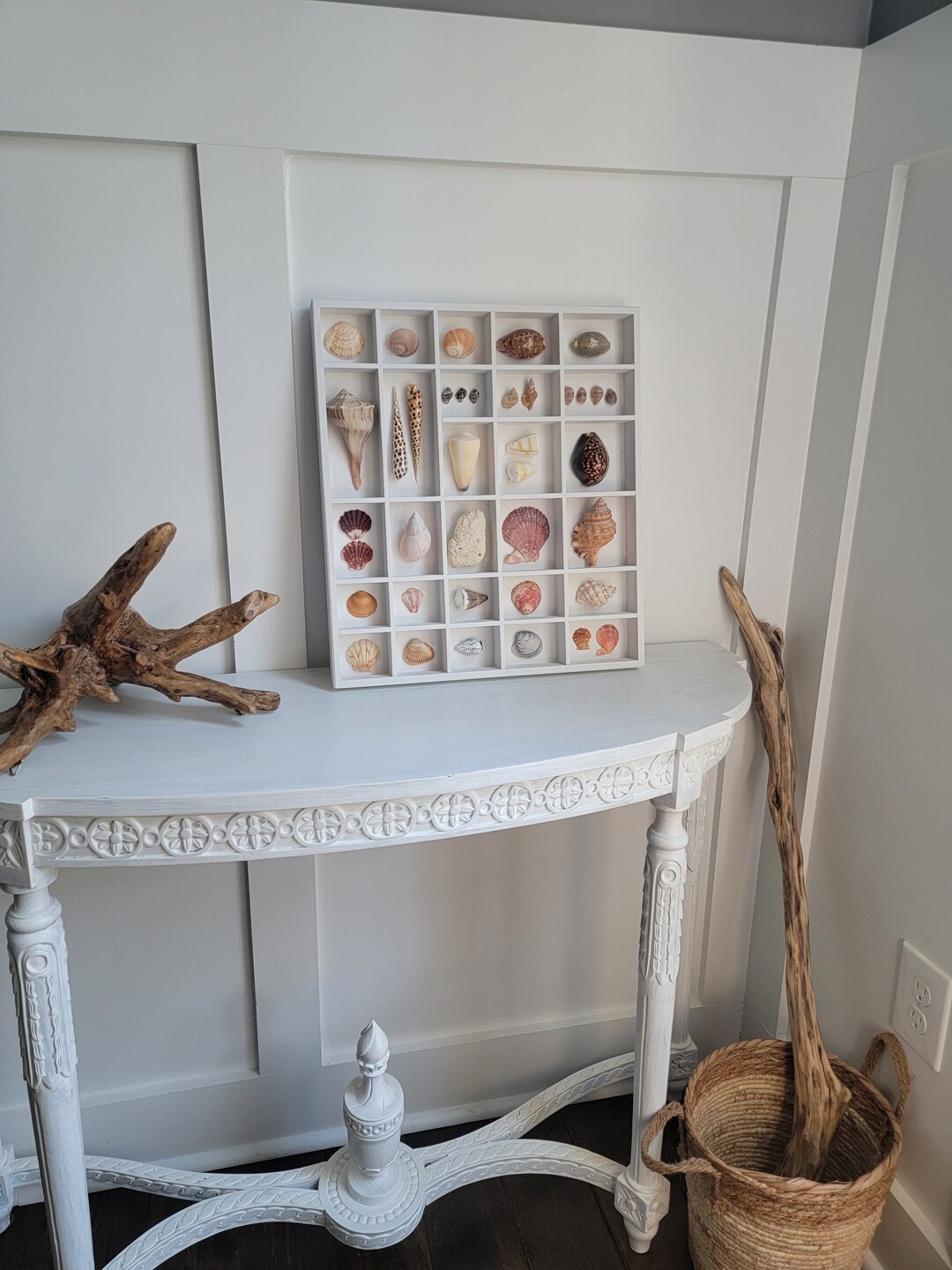 Seashell Shadow Box, Seashell Display, Wood Shelf Seashell Display