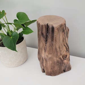 Driftwood Sculpture, Book Shelf Décor, Wood Sculpture, Unique Wood Décor, Rare Find Wood Décor, Abstract Wood Sculpture, Natural Wood Décor