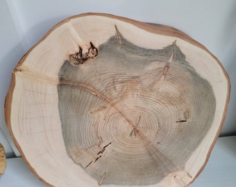 Walnut Wood Slice Wall Art: Rustic Live Edge Home Decor (11.5 inch)