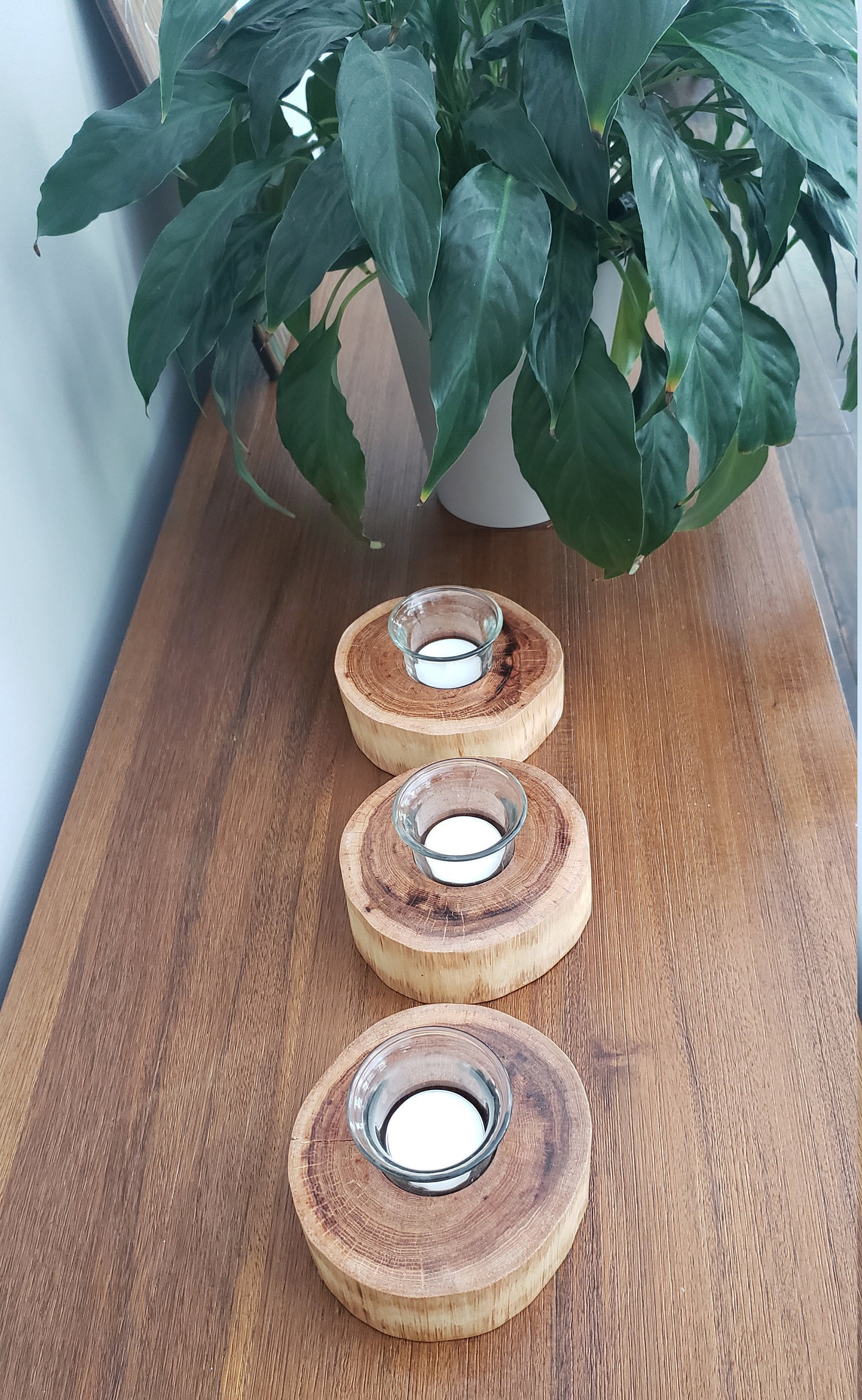 Wood Slice Candle Holder set of 3 Glass Votive Holders Etsy