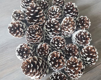 Pine cones, White Tipped, Quantity 24, Centerpiece Décor, Christmas Wreath Crafts, Christmas Décor, Craft Pine Cones, Tree Ornament Craft